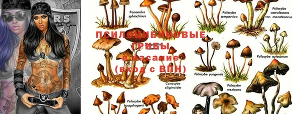гашишное масло Балабаново